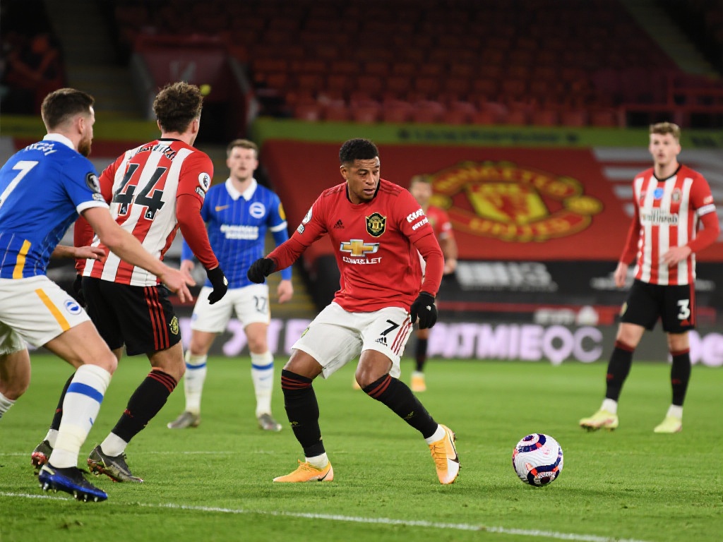 波切蒂诺 波切蒂诺